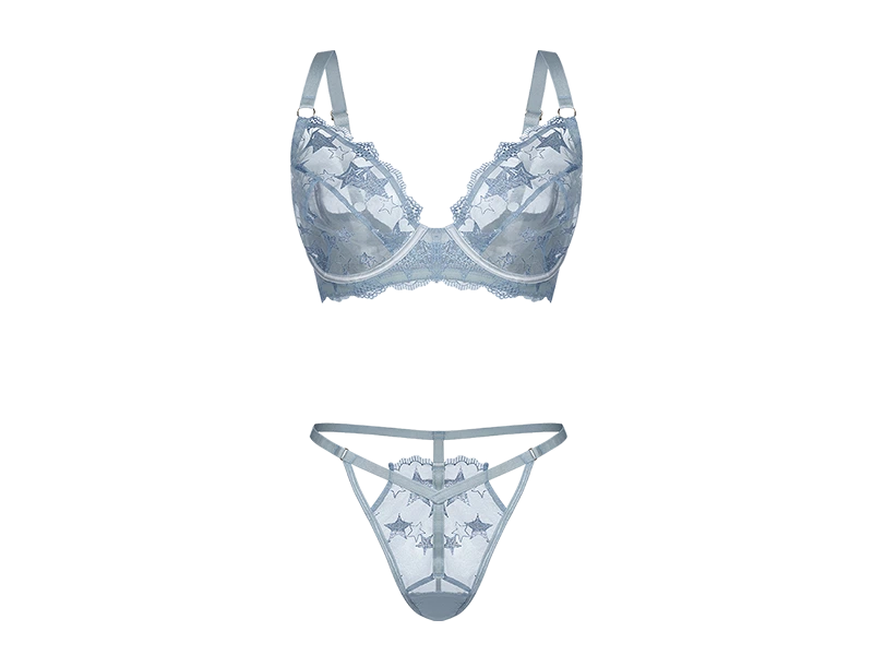 embroidered lingerie embroidered lingerie